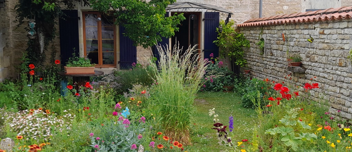 Mes conseils se joignent à une profonde écoute pour laisser emerger vos propres potentiels et solutions