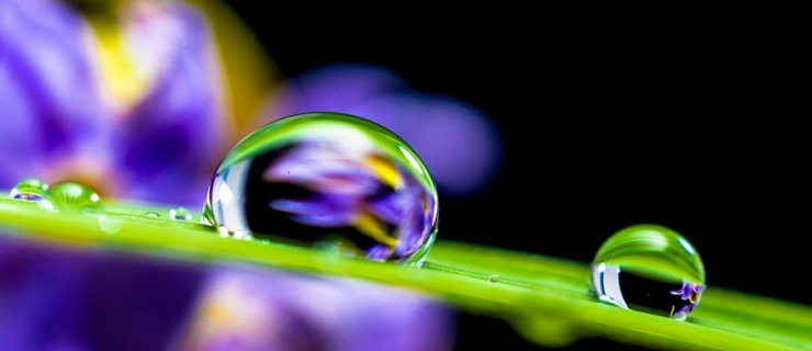 Notre corps est compos  60% d'eau et selon le Dr MASARU EMOTO, l'eau a une mmoire... ( mditer :) )