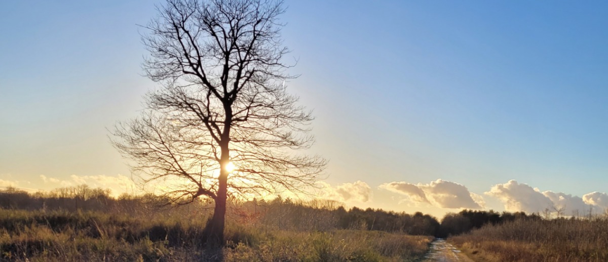 Je vous souhaite une Belle Ann�e 2026, que chaque pas vous ram�ne � l'Essentiel !