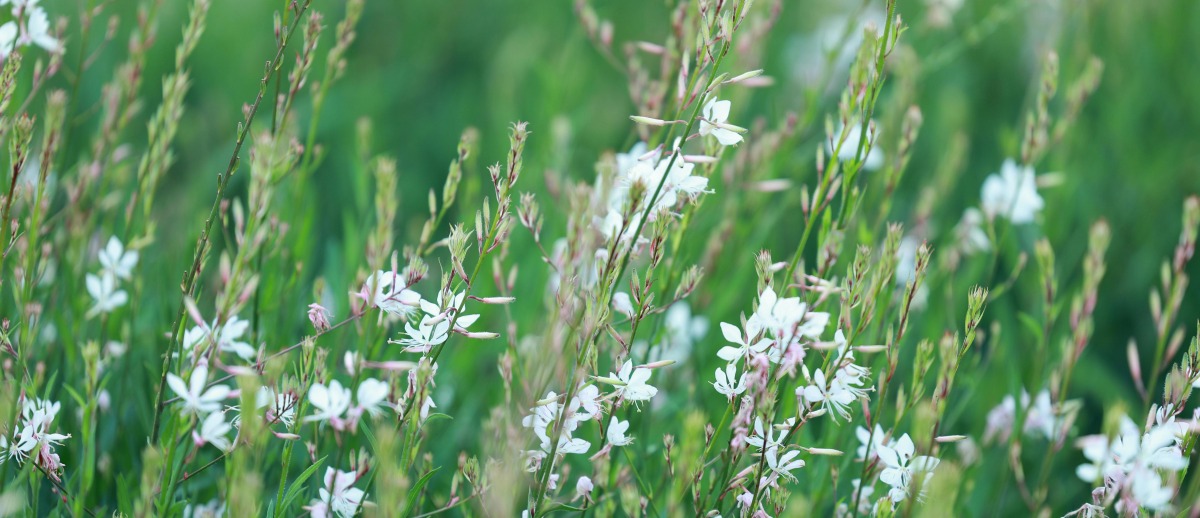 accordez-vous un moment de s�r�nit�, une reconnexion avec vous-m�me