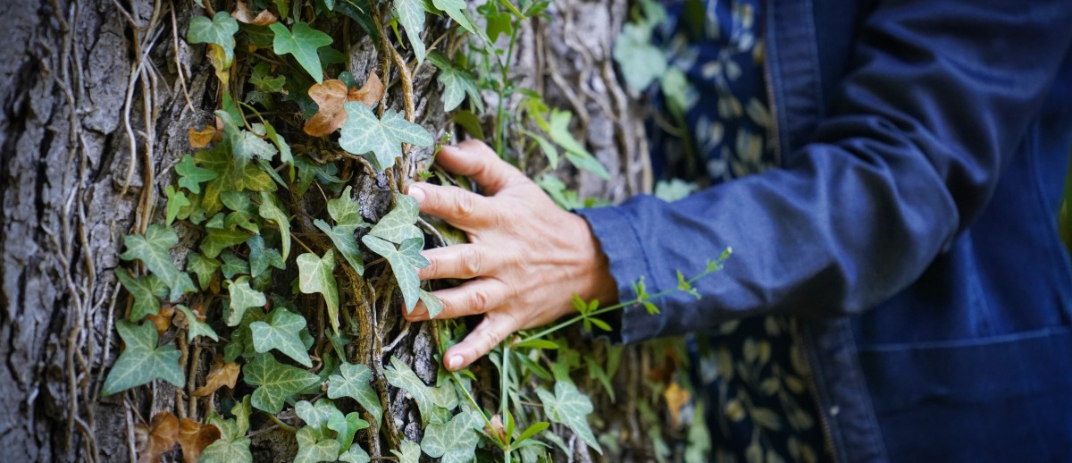 Comme larbre, accueillir ses saisons intrieures pour mieux se transformer